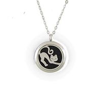Aromatherapy Essential Oil Diffuser Stainless Steel Silver Magnetic Locket Pendant 2 sizes Chain Necklace, Colored Refill Pads & Diffuser Bracelet in a gift bag & Free Ebook (fbastretchingskinnycat)