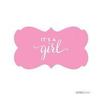 Andaz Press Fancy Frame Rectangular Label Stickers, It's a Girl!, Pink, 36-Pack