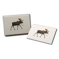 Earth Sky + Water - Moose Notecard Set - 8 Blank Cards with Envelopes