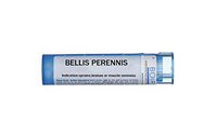 Boiron Bellis Perennis 9c, Blue, 80 Count