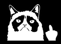 Makarios LLC Grumpy cat Funny f You Cars Trucks Vans Walls Laptop MKR| White |5.5 x 4|MKR720