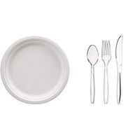 AmazonBasics Compostable Plates, 10-Inch, 500-Count + 360-Piece Clear Plastic Utensil Cutlery Set