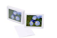 JonS Designs" Violet Iris" Blank White Note Card (5.5" x 4.25") Pack of 6, Comes with White Envelope, Printed in USA