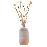 Natural Essential Oil Reed Diffuser Set with Bottle of Aroma & 6X Aromatherapy Sticks & 12X Dried Flowers Gift Idea for Aromatherapy & Stress Relief (A)