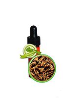 Clove Bud Essential Oil - Syzygium aromaticum - 1 DRAM (1/8oz)