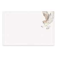 Owl Note Cards from Dashleigh, 48 Cards, 4x6 inches, Ultra Thick Cardstock