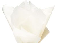 Birch Wrap Tissue Paper 15 Inch X 20 Inch - 100 Sheets