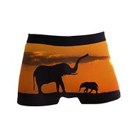 Sunset African Elephant Men's Sexy Boxer Briefs Stretch Bulge Pouch Underpants Underwear