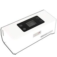 YZJJ Smart Insulin Cooler Box, Portable Insulin Cooler, Mini Cold Boxes Portable Drug Reefer Car Small Refrigerator, for Travel/Car/Drug Storage