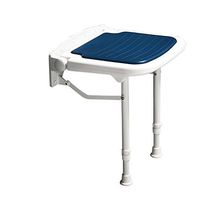 Tx Folding Shower Chair-Applicable to The Elderly, Pregnant Women, The Disabled (Color : Blue)