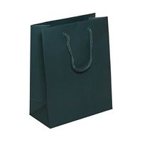 JAM PAPER Gift Bags with Rope Handles - Medium - 8 x 10 x 4 - Teal Matte - Sold Individually