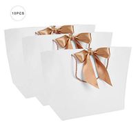 Antilog Gift Bag, 10pcs/lot Gift Present Paper Bags with Handle for Clothes Shopping Makeup Packaging Food(#5)