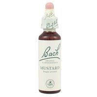 Dr Bach Mustard Bach Flower Remedy 10ml