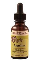 The Herbalist Angelica Root Liquid Extract