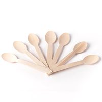 HUJI Eco- Friendly Wooden Spoons - Disposable Wood Cutlery! 50 Spoons 6.1"