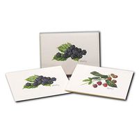 Earth Sky + Water - Berry Assortment II Notecard Set - 8 Blank Cards with Envelopes (4 each of 2 styles)