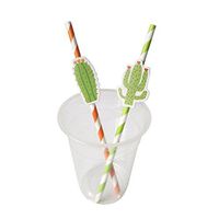 GBSELL 10pcs Environmental Novelty Cactus Stripe Paper Drink Straw Decoration (Orange)