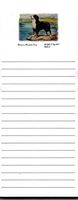 Bernese Mountain Dog Magnetic List Pads - Set of 2