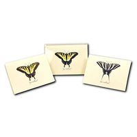 Earth Sky + Water - Swallowtail Assortment Notecard Set - 8 Blank Cards with Envelopes (4 each of 2 styles)