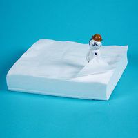 Divine Medical 17885 Cleanroom Wipes (12"L x 12"W)