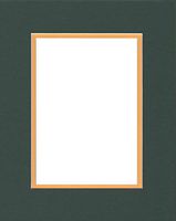 16x20 Double Acid Free White Core Picture Mats Cut for 11x14 Pictures in Pine Green and Golden Yellow