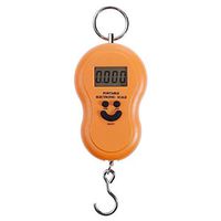 SCDDZC Portable Electronic Digital Balance Hanging Luggage Hook Scale Mini Pocket Fishing Scales (Color : B)