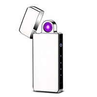 Lighters USB Arc Lighter Rechargeable Windproof Flameless Plasma Electric Lighter Portable Fingerprint Rotate Goood for Candle Cigarette Paper (Silver)