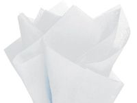 Mountain Mist Tissue Paper 20x30" 480 Sheet Flat Ream - Wraps-CTFMM