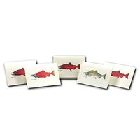 Earth Sky + Water - Salmon Assortment Notecard Set - 8 Blank Cards with Envelopes (2 each of 4 styles)