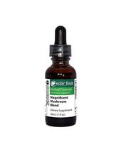 Cedar Bear Magnificent Mushroom Blend a Liquid Herbal Supplement That Builds The Immune System, Protects, Strengthens and Balances Overall Health 1 Fl Oz