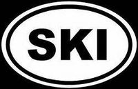 Chase Grace Studio Ski Skiing Euro Vinyl Decal Sticker|White|Cars Trucks Vans SUV Laptops Wall Art|5.5" X 3"|CGS345