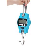 ZYY 300kg Electronic Scale，Portable Mini Hanging Weighing Pig Sheep Livestock Hook Stainless Steel (Size : 300kg/50g)