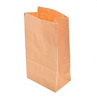 RAYNAG 50 Pcs Kraft Paper Bakery Bags Small Paper Lunch Take-Out Bags Brown Paper Snack Treat Bags, Storing Cookies, Breads, Candy, Crafts/School Projects