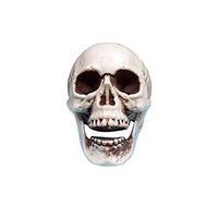 Halloween Decorations Resin Wacky Funny Novelty Skull Toys