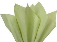 Buy All Store *16 Colors!!* Tissue Paper for Gift Wrapping 20"x26" Solid Sheets Your Choice! (20 Ct)(Sage Green)