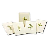 Earth Sky + Water - Herb Assortment Notecard Set - 8 Blank Cards with Envelopes (2 each of 4 styles)