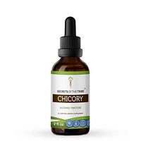 Chicory Alcohol Liquid Extract, Organic Chicory (Cichorium Intybus) Dried Root Powder Tincture Supplement (2 FL OZ)
