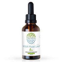 Witch Hazel Leaf B60 Alcohol-Free Herbal Extract Tincture, Super-Concentrated Organic Witch Hazel Leaf (Hamamelis virginiana) Dried Leaf (2 fl oz)
