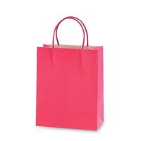 Euro Medium Pink"Color Savvy" Gift Bags by FLOMO