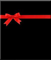 Solid Jet Black Gift Wrap Wrapping Paper-15ft Roll w. Gift Tags