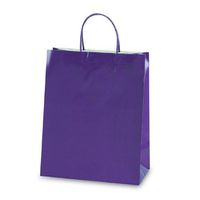 Paper Gift Bags 6ct 10.5"x12.5"x5.5" (Purple)
