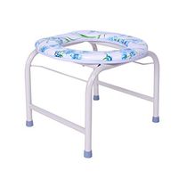 Zhong Elderly Toilet Seat Thick Stainless Steel, Household Pregnant Women Steel Toilet Chair, Bathroom Stool Toilet Stool