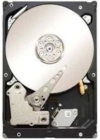 SEAGATE Seagate St1000nm0011 1Tb 7200Rpm 64Mb Cache Sata/6Gb/S