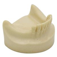 LXX Teeth Model Without Gums Tooth Prosthesis Demonstration Denture Repair Planting Training Science Models for Study Teaching Medical Teaching Tool Aid