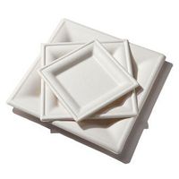 [125 COUNT] 10"x10" Square Disposable Plates Made by Natural Sugarcane Bagasse - Biodegradable & Compostable Environmental Eco Friendly Paper Plastic Free 100% Alternative by GoGreen (125, 10"x10")