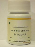Bu Zhong Yi Qi Wan - Ginseng & Astragalus Combination, 200 Pills, (E-Fong)
