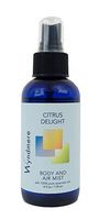 WYNDMERE NATURALS Citrus Delight Air Freshner, 4 OZ