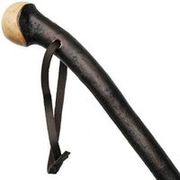 Unisex Knob Cane Polished Natural Bark Irish Blackthorn  -Affordable Gift! Item #DHAR-9769500