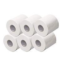 MERSDW Wood pulp hollow roll paper 4 Ply Toilet Paper White Bath Tissue Family Roll Paper Ultra-Soft Tissue (6 Rolls White)