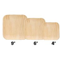 VIRIDIS Palm Leaf Plates Biodegradable and Compostable Eco Friendly Bamboo Style 10 Pack (10, 9 Inch)